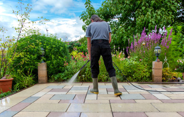 Best Sidewalk and Walkway Pressure Cleaning in Mahnomen, MN