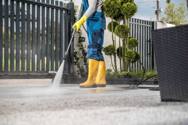 Best Gutter Cleaning and Brightening in Mahnomen, MN